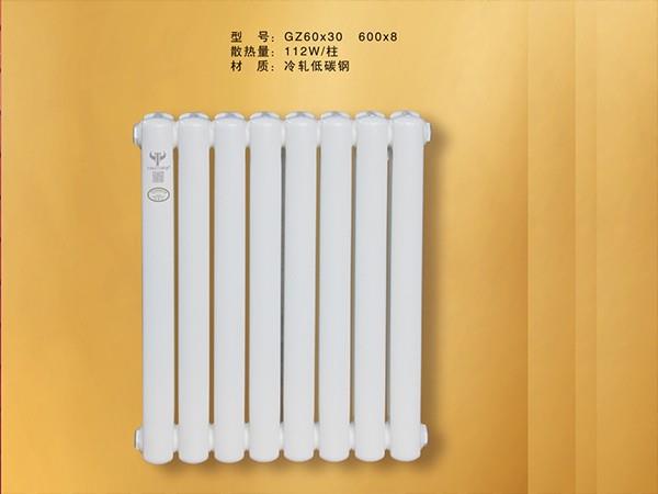 GZ60*30潍坊散热器