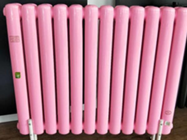 钢制散热器 家用钢二柱 暖气片钢制柱式 暖气片家用 6030 举报